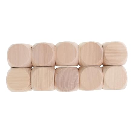 Sharplace 10pcs/Set 40mm D6 Leer Blanko Holzwürfel