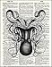 Fresh Prints of CT Dictionary Art Print Upside Down Octopus - Printed on Recycled Vintage Dictionary Paper - 8