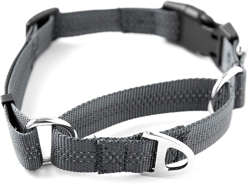 great dane training collar