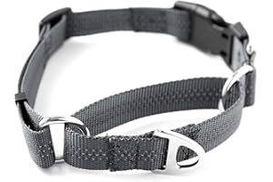 Mighty Paw Martingale Nylon Training Collar. Our Trainer Approved Limited Slip Collar. Modified Cinch for Controlled Force for Optimal Training. Reflective Stitching to Keep Your Dog Safe
