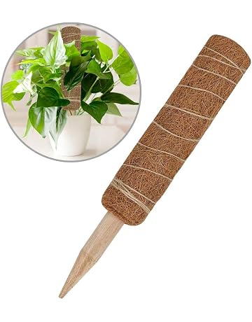 Amazon.es: Soportes para plantas: Jardín