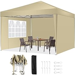 TOOLUCK 10x10 Pop Up Canopy Tent with 3 Sidewalls