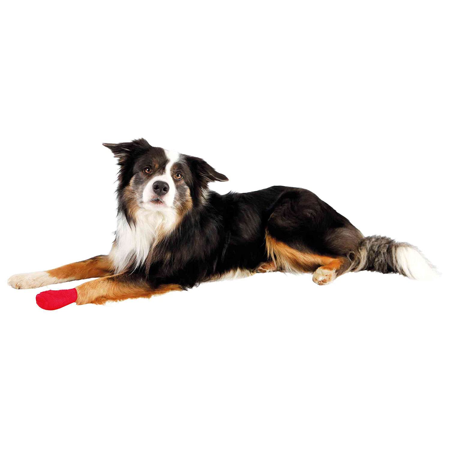 TRIXIE Bandages, self-adhesive