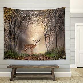 Fallow Deer Standing in a Dreamy Misty Forest, with Beautiful Moody Light in The Middle and Framed by Darker Trees - Fabric Wall Tapestry Home Decor - 51x60 inches