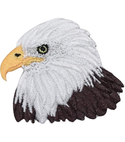 Toppa Ricamo Flying Eagle, Maxi Applicata Da Cucire O Stirare. Regalo Sfizioso Per Giacche O Borse.