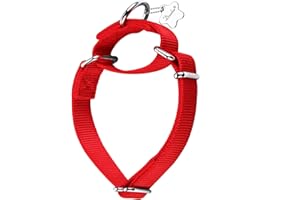 Dazzber Martingale Dog Collar, No-Buckle Escape-Proof Design, Heavy-Duty Nylon and Welded D-Ring, Adjustable Training Collar for Medium Large Dogs (Festive Red, L)