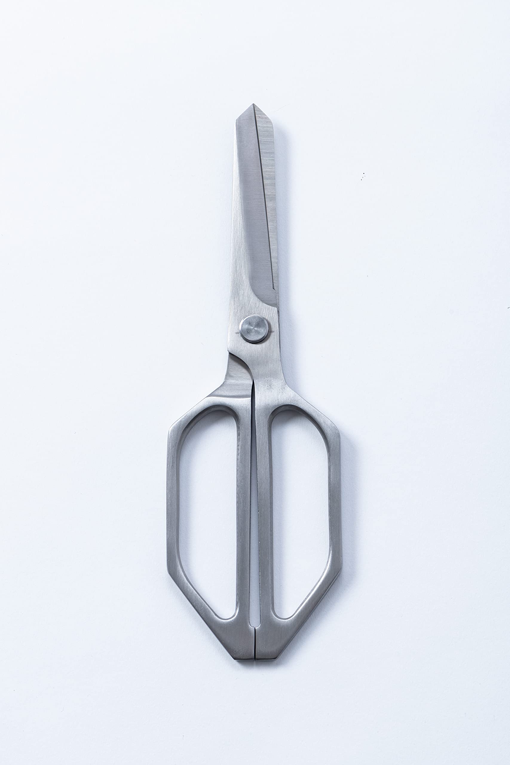 Edge of Belgravia Scissor All Purpose Kitchen Stainless Steel Scissor