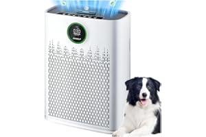 ECOSELF Air Purifiers for Home Large Room, Cover Up to 2400 Ft² with True HEPA Filter, Smart Mode, PM2.5 Air Quality Display, 22dB Sleep Mode, Aromatherapy with 2X-Purification & 360°Air Outlet, HAP603, White