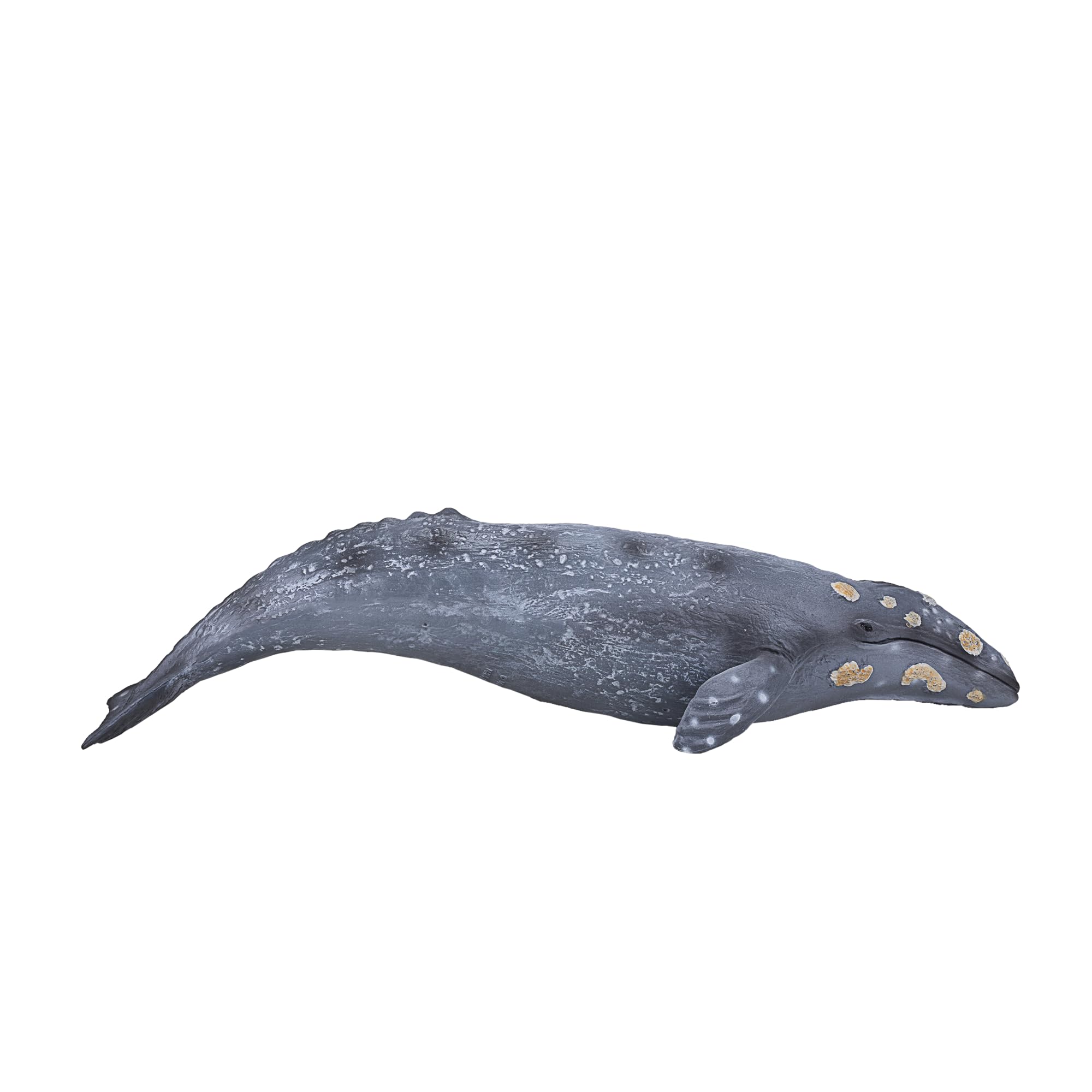 MOJO Grey Whale Sealife Animal Fish Model Toy Figure