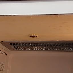 Candy CMG25DCB - Microondas, 25 L, multifunción, con grill, color ...