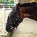 Standard Horse Size Fly Mask with Long Nose Black and Hair Opening - Good Vision Soft and Breathable, All Around Barn, Stable, Pasture, Trail Riding Fly and Sun Protection Fly Masks (Horse Size)