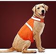 Dog Jacket High Visibility Safety Reflective Dog Vest for Small Medium Large Dogs (Medium, Orange)