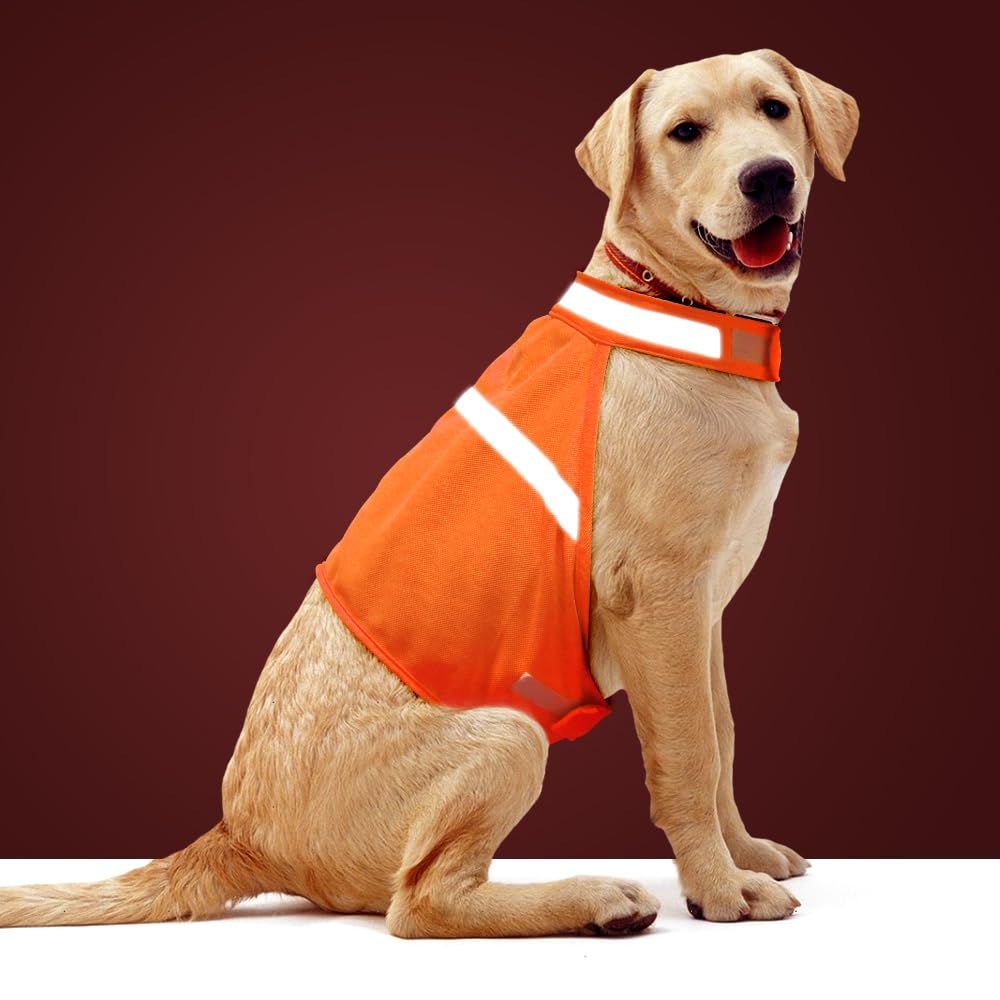 Dog Jacket High Visibility Safety Reflective Dog Vest for Small Medium Large Dogs (Small, Orange)