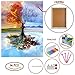 Diamond Painting Accessories - [14 Pieces] Full Drill,Framed,12''x16''