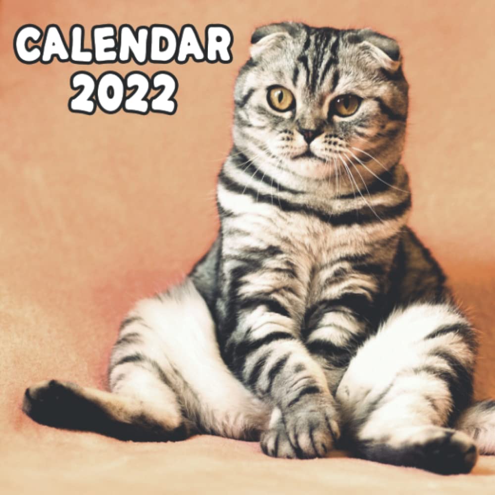 Christmas Calendar 2022 Amazon