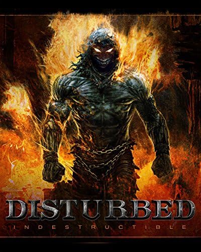 Blooming flowers Disturbed photo poster American Rock Band Wall Art Room Decor 24x36inches