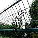 Anytime Garden 4M x 10M Heavy Duty Black Bird Netting for Tree and Plant Protection - Bird Control and Detering Pigeon Nesting on Your House Made in Europe (7 X 75 FT)