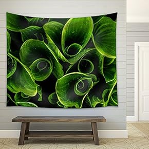 Green Leaves with Waterdrops - Fabric Wall Tapestry Home Decor - 51x60 inches