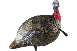 AVIAN-X LCD Jake Quarter Strut Durable Realistic Lifelike Collapsible Standing Folding Hunting Turkey Decoy with Carry Bag & Stake, AVX8003
