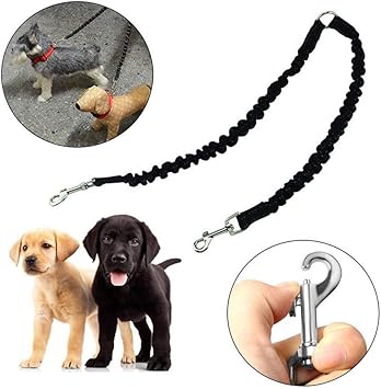 2 in 1 dog leash