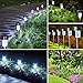 Cynkie Solar Garden Lights Outdoor 12 Pack, LED Solar Powered Pathway Lights, Stainless Steel Landscape Lighting for Lawn, Patio, Yard, Walkway, Driveway