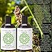 Laritelle Organic Travel Size Shampoo 2 oz + Travel Size Conditioner 2 oz | Organic Quinoa + Keratin + Follicle Stimulating Rosemary, Ginger & Grapefruit | NO GMO. Vegan