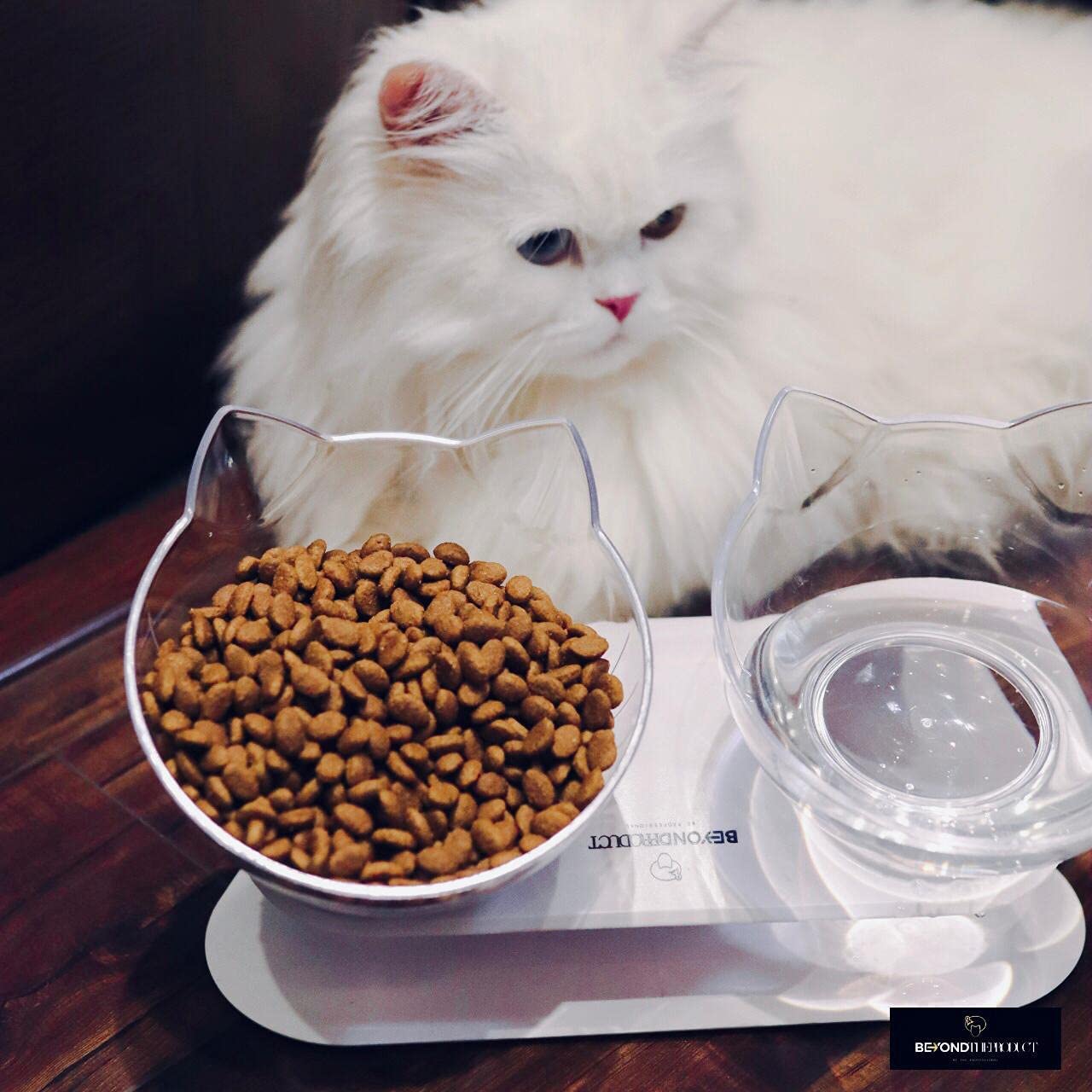 BEYOND THE PRODUCT Cat Bowl, Perfectly 15° Tilted Double Cat Bowls with Stand (White) and Spoon, Ideal for Feeding Cats And Dogs Of All Ages, Two Anti-Slip Crystal Clear Cat Feeding Bowl