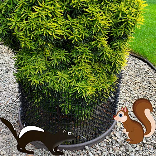 Mood Lab Cat Scat Spike Mat - 6.5 ft Roll - Anti-Cat and Pet Prickle Strip with 8 Garden Staples - Thumbnail 4