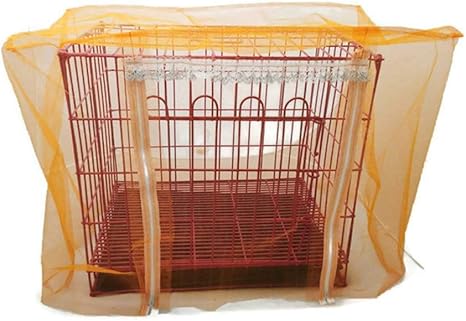 red cap oranda for sale