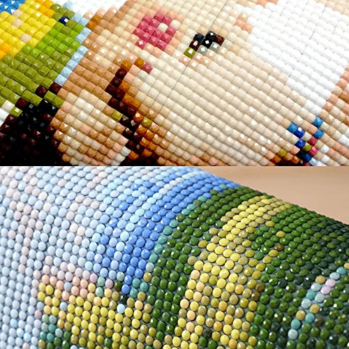 5D Diamond Painting, Full Drill 5d Diamond Painting Kit for Kids Rhinestone Embroidery Cross Stitch Arts Craft, Cute Insect 11x11 inches (Framed Canvas)