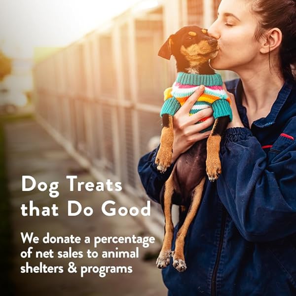 PORTLAND PET FOOD COMPANY PUMPKIN DOG TREATS HEALTHY BISCUITS FOR SMALL MEDIUM & LARGE DOGS – GRAIN-FREE, HUMAN-GRADE, ALL NATURAL COOKIES, SNACKS & PUPPY TRAINING TREATS – MADE IN THE USA – 5 OZ