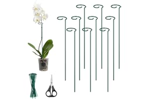 Kingsyard 16 Inch Plant Support Stakes - 10 Pack, 4.5mm Thick All Metal Garden Plant Stakes for Outdoor Plants Single Stem Flowers Dahlia Lily Rose Peony Hydrangea Tomatoes Sunflower Gladiolus