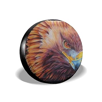Amazoncom Sharp Eye Golden Eagle Colored Drawing Spare