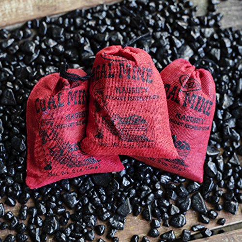 Old Fashioned Bubble Gum Candy: Fruit Flavor Chewing Gum in Individual Drawstring Bags by Espeez - Candy Buffet Vintage Bulk Candy Packs for Parties and Special Events - Coal Mine Nugget Gum - 24 Bags