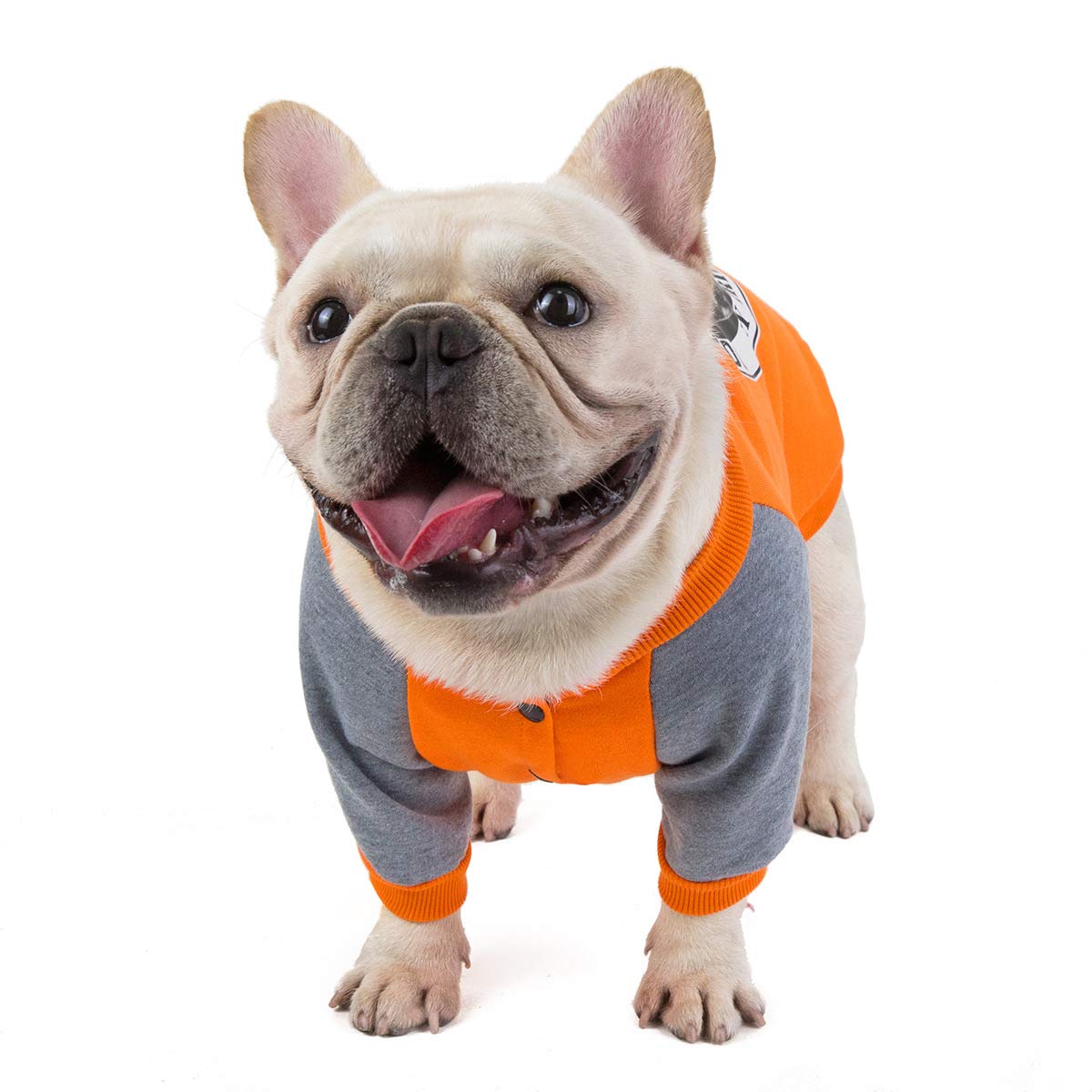 Bulldog Dog Clothes pet Clothes Dog Clothes pet Clothing Dog Clothing Bulldog Sweater (L, Orange)