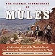 Mules, Mules And More Mules : The Adventures And Misadventures Of A First Time Mule Owner By Rose Miller (2010, Trade Paperback) For Sale Online