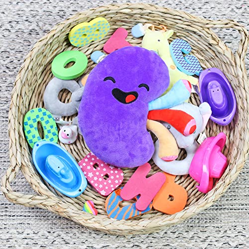 Attatoy Plush Kidney, Stuffed Body Organ Toy for Get Well Gift, Health
