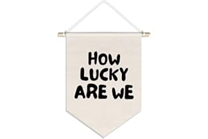 DSHFG How Lucky Are We Banner Wall Hanging,Dorm Decor for College Girl Boy,Pennant Banner Wall Hanging for Kids Room Nursery Playroom Reading Corner 15x11in