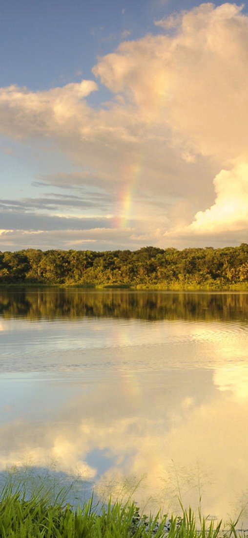 PeelitStickit, Beautiful Nature Wall Murals, ID-1418, vinyl