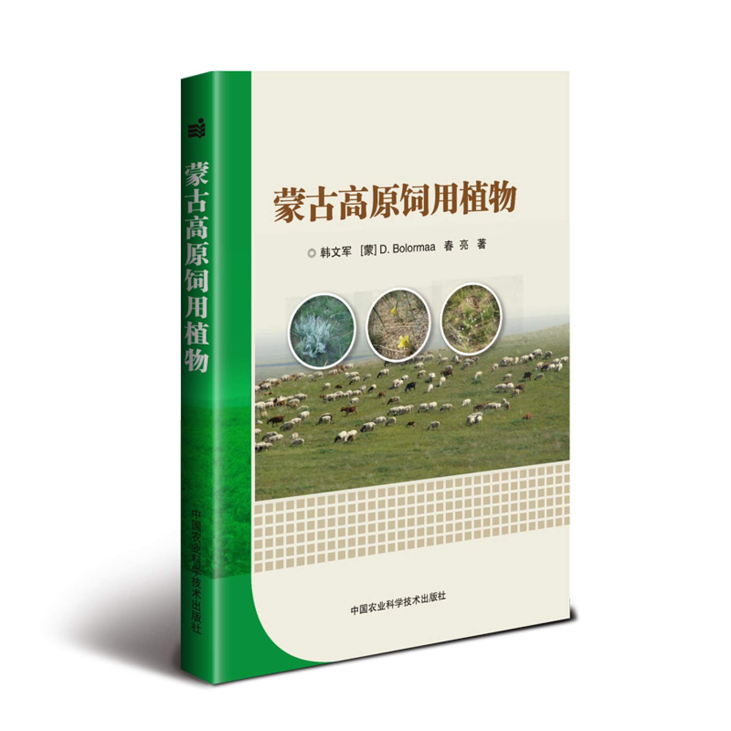蒙古高原饲用植物 韩文军宝勒日玛春亮 Amazon Com Books