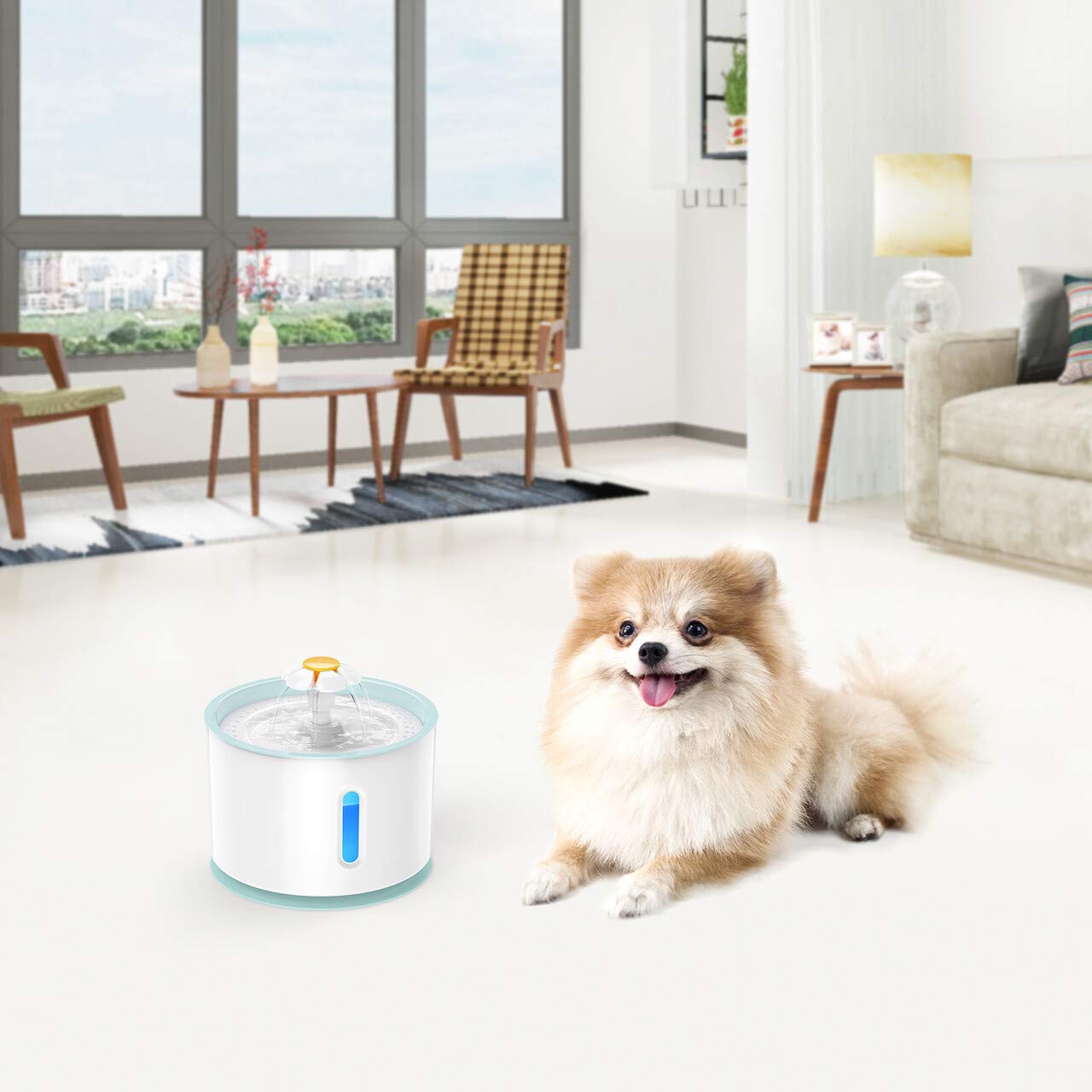 isYoung Pet Fountain, LED 81oz/2.4L Automatic Cat Fountain Dog Water Dispenser for Cats, Dogs