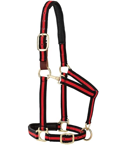 Weaver Leather Licol Rembourré Ajustable - 2,5 Cm, Pour Cheval De Trait Moyen/yearling - Polypropylène, Doublure PVC - Rayures Vertes