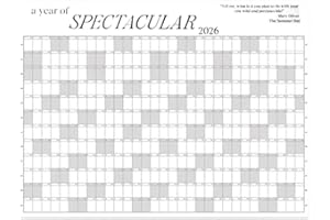 2026 Full Year Wall Calendar, Big Ass Calendar 2026, Transform Your Planning, A Year of Spectacular Wall Planner for Home, Of