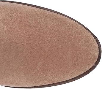 aerosoles women's binocular knee high boot