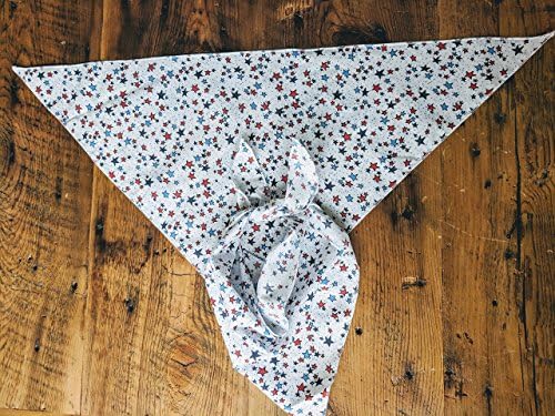 Large Patriotic July 4th Dog Bandana - Sophia Collection