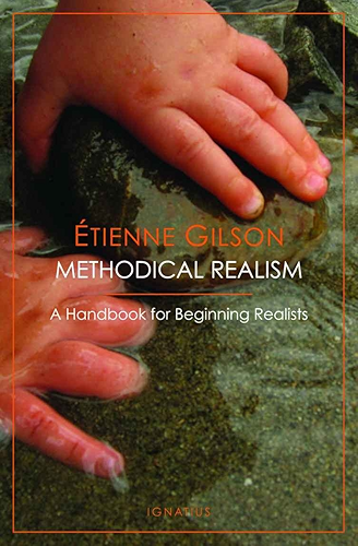 Download Methodical Realism (English Edition) PDF