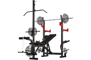 FIITDAVZ 10-in-1 Olympic Weight Bench Set, 1000LBS Capacity Home Gym with Adjustable Bench Press, LAT Pulldown, Squat Rack & Leg Developer - All In One Heavy Duty Full Body Workout Equipment
