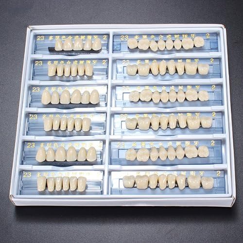 Acrylic Resin Denture Dental Teeth Shade A2 in An Red/Blue Box