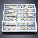 Acrylic Resin Denture Dental Teeth Shade A2 in An Red Box Oral Care