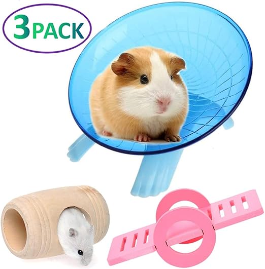 hamster chewing on plastic tubes